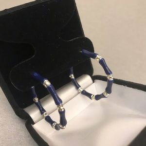 Chic blue and silver hoops